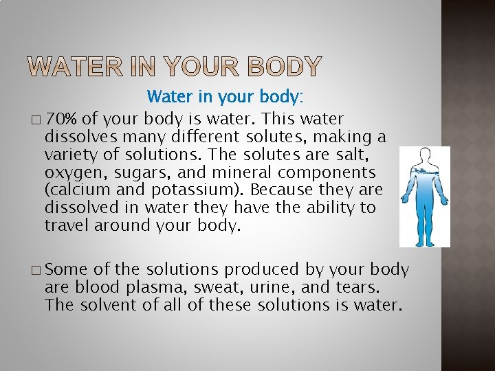 Water in your body: � 70% of your body is water. This water dissolves