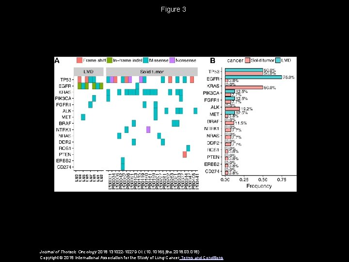 Figure 3 Journal of Thoracic Oncology 2018 131022 -1027 DOI: (10. 1016/j. jtho. 2018.