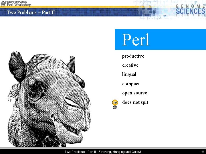 Two Problems – Part II Perl productive creative lingual compact open source does not