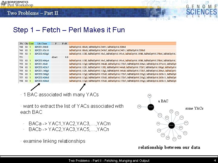 Two Problems – Part II Step 1 – Fetch – Perl Makes it Fun