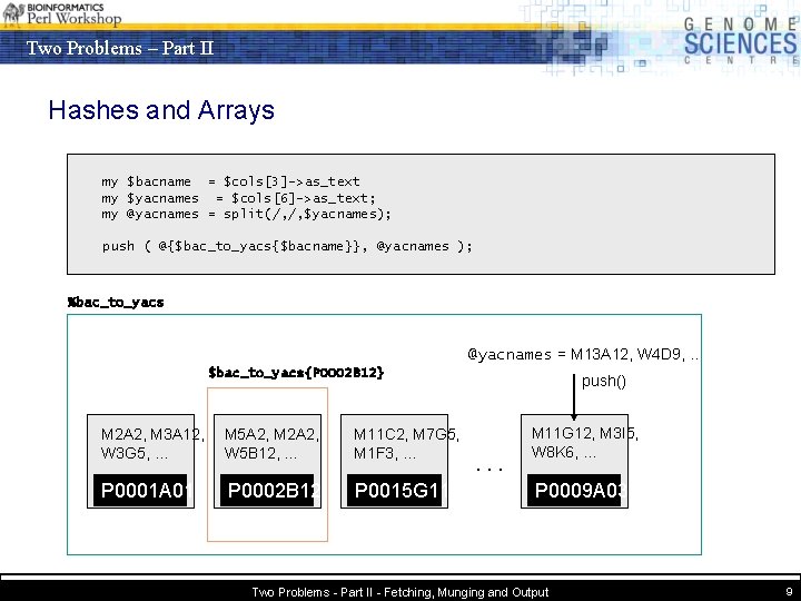 Two Problems – Part II Hashes and Arrays my $bacname = $cols[3]->as_text my $yacnames