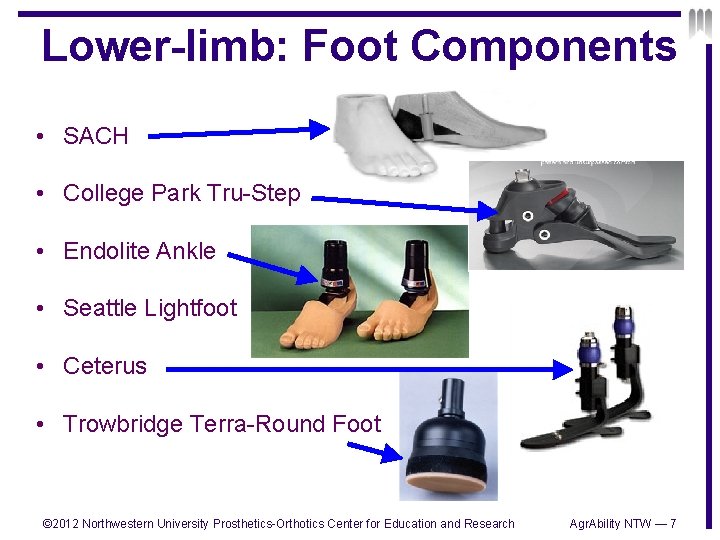 Lower-limb: Foot Components • SACH • College Park Tru-Step • Endolite Ankle • Seattle