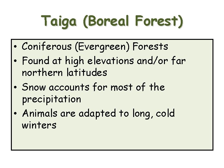 Taiga (Boreal Forest) • Coniferous (Evergreen) Forests • Found at high elevations and/or far