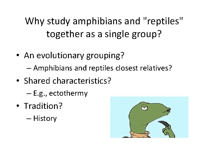 Why study amphibians and "reptiles" together as a single group? • An evolutionary grouping?