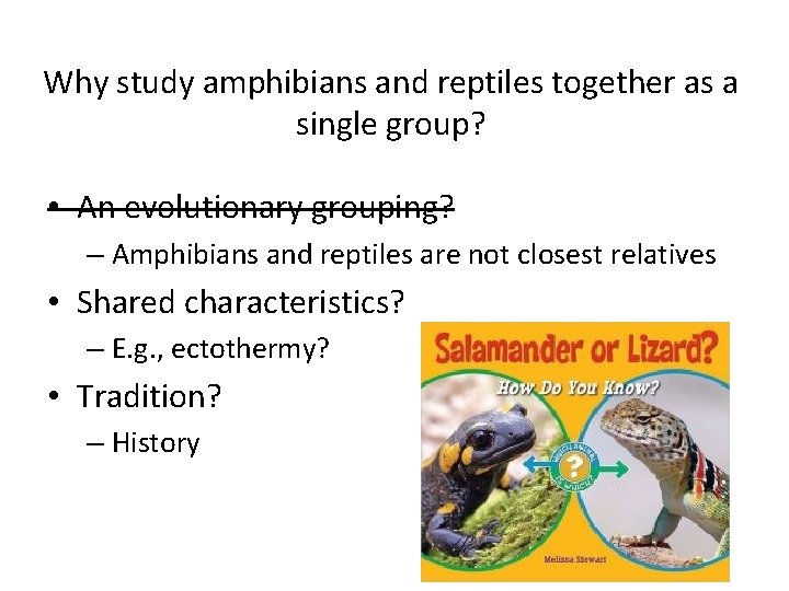 Why study amphibians and reptiles together as a single group? • An evolutionary grouping?