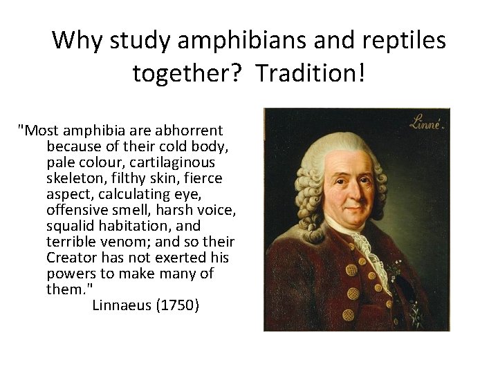 Why study amphibians and reptiles together? Tradition! "Most amphibia are abhorrent because of their