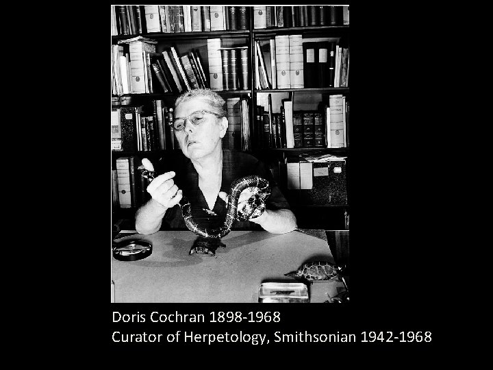 Doris Cochran 1898 -1968 Curator of Herpetology, Smithsonian 1942 -1968 