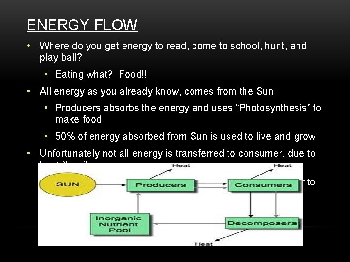 ENERGY FLOW • Where do you get energy to read, come to school, hunt,