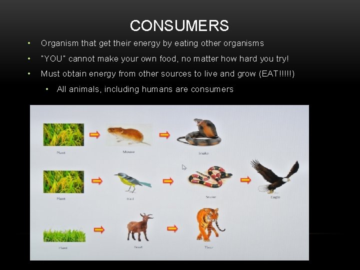 CONSUMERS • Organism that get their energy by eating other organisms • “YOU” cannot