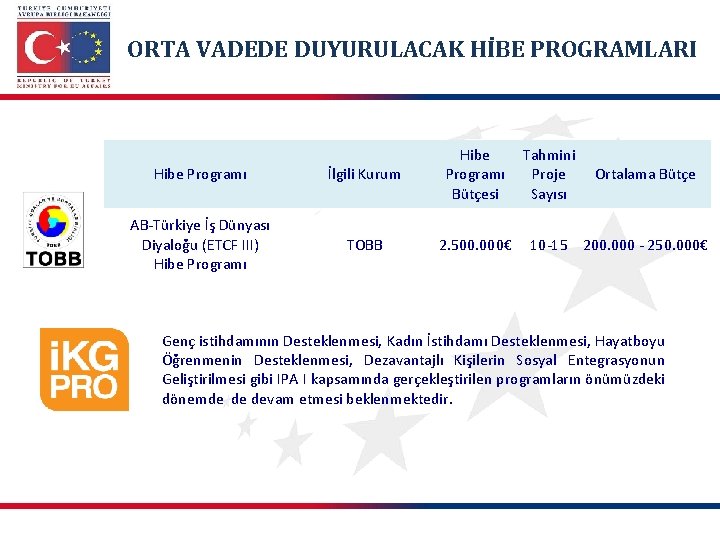 ORTA VADEDE DUYURULACAK HİBE PROGRAMLARI Hibe Programı İlgili Kurum AB-Türkiye İş Dünyası Diyaloğu (ETCF