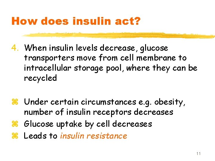 How does insulin act? 4. When insulin levels decrease, glucose transporters move from cell