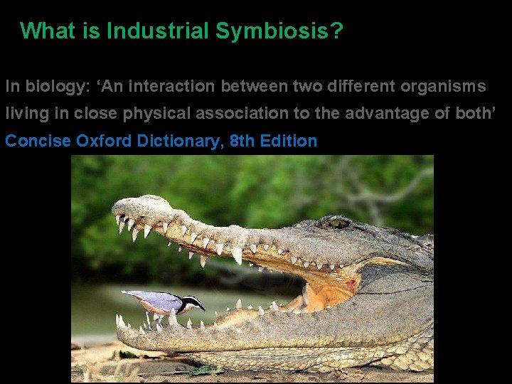 What is Industrial Symbiosis? In biology: ‘An interaction between two different organisms living in