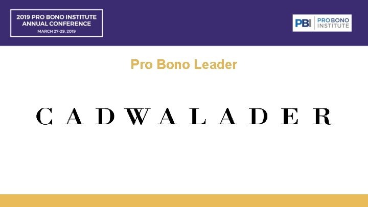 Pro Bono Leader 