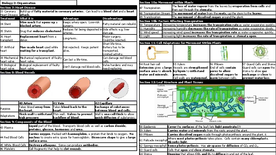 Biology 2: Organisation Section 7: Heart Disease 33 Coronary Build up of fatty material