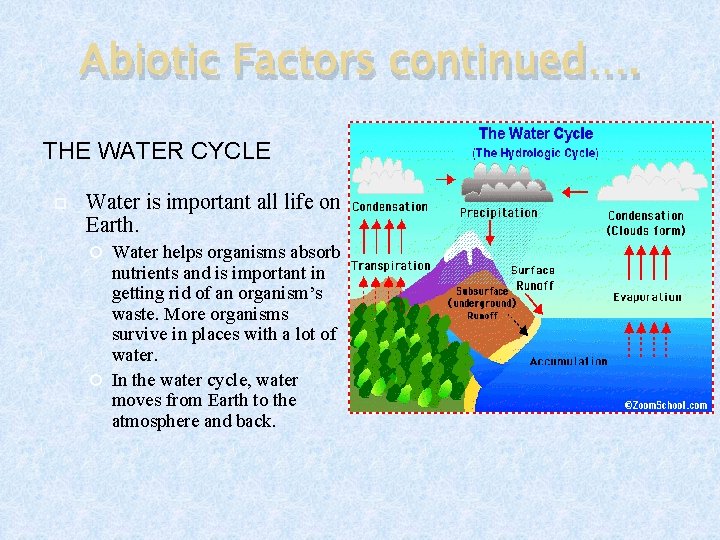 Abiotic Factors continued…. THE WATER CYCLE Water is important all life on Earth. Water