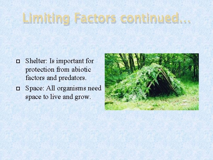 Limiting Factors continued… Shelter: Is important for protection from abiotic factors and predators. Space: