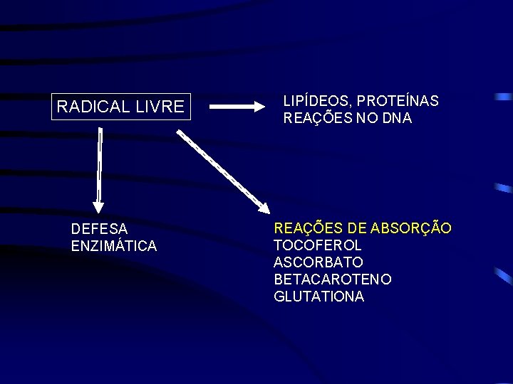 RADICAL LIVRE DEFESA ENZIMÁTICA LIPÍDEOS, PROTEÍNAS REAÇÕES NO DNA REAÇÕES DE ABSORÇÃO TOCOFEROL ASCORBATO