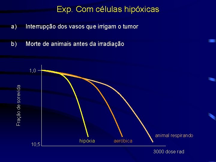 Exp. Com células hipóxicas a) Interrupção dos vasos que irrigam o tumor b) Morte