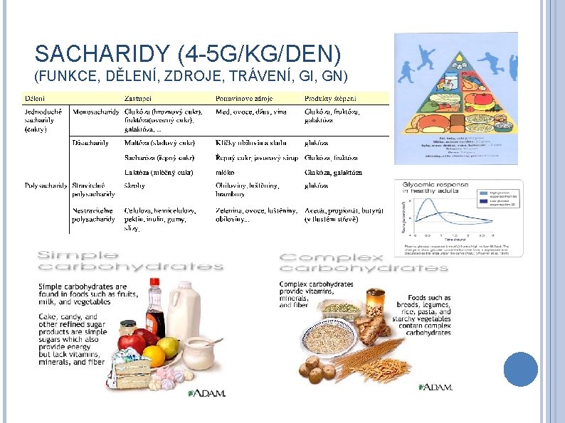 SACHARIDY (4 -5 G/KG/DEN) (FUNKCE, DĚLENÍ, ZDROJE, TRÁVENÍ, GI, GN) 