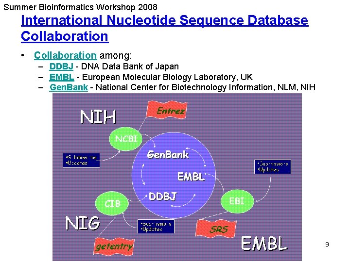 Summer Bioinformatics Workshop 2008 International Nucleotide Sequence Database Collaboration • Collaboration among: – DDBJ