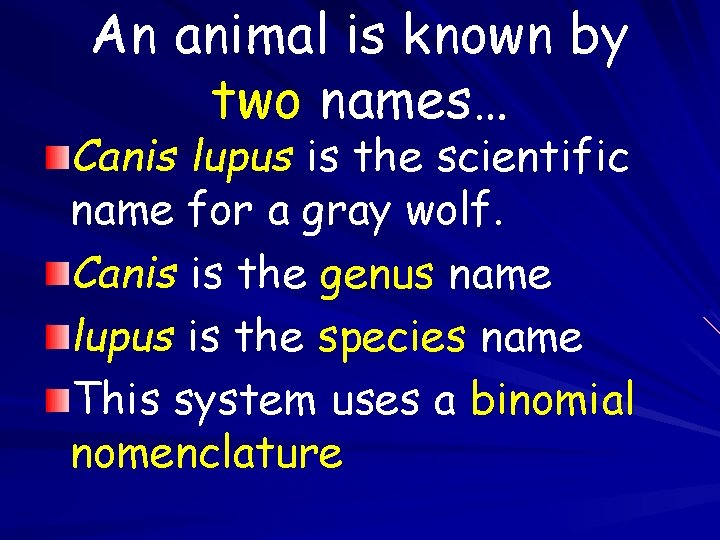 An animal is known by two names… Canis lupus is the scientific name for