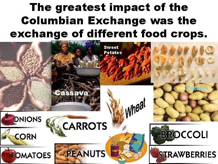 The greatest impact of the Columbian Exchange was the exchange of different food crops.