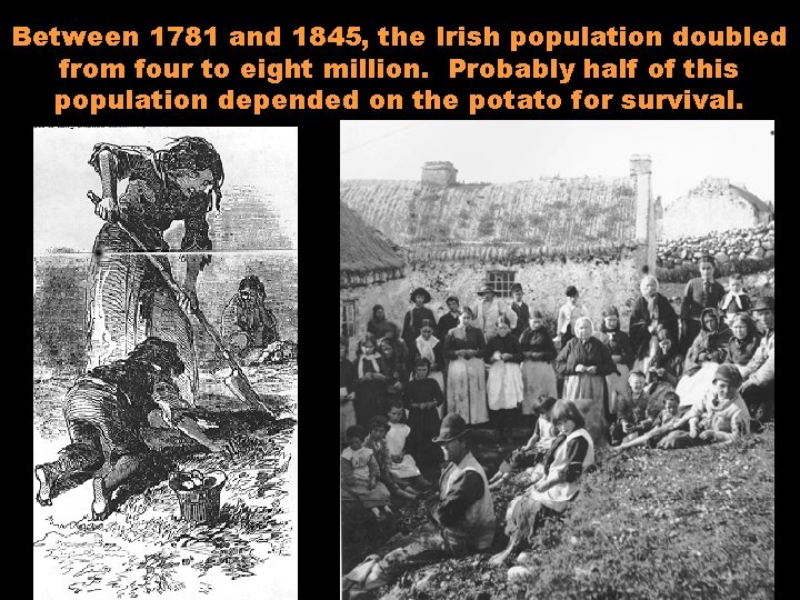 Between 1781 and 1845, the Irish population doubled from four to eight million. Probably