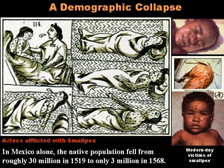 A Demographic Collapse Aztecs afflicted with Smallpox In Mexico alone, the native population fell