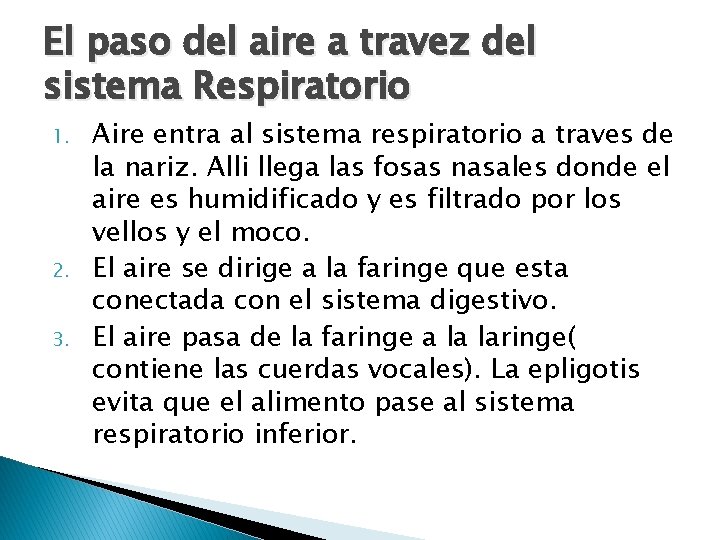 El paso del aire a travez del sistema Respiratorio 1. 2. 3. Aire entra