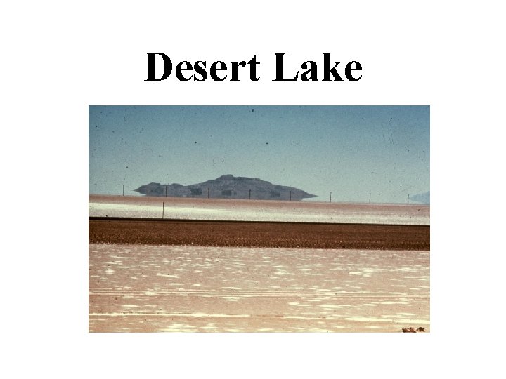 Desert Lake 