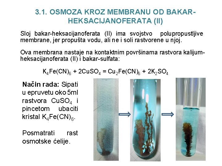 3. 1. OSMOZA KROZ MEMBRANU OD BAKARHEKSACIJANOFERATA (II) Sloj bakar-heksacijanoferata (II) ima svojstvo polupropustljive