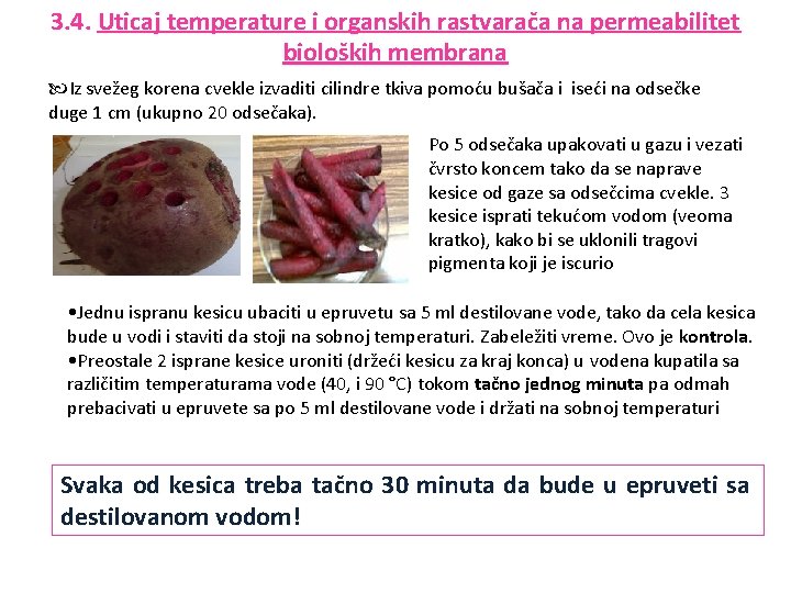 3. 4. Uticaj temperature i organskih rastvarača na permeabilitet bioloških membrana Iz svežeg korena