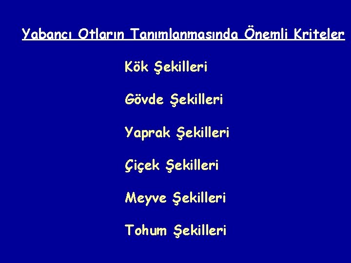 Yabancı Otların Tanımlanmasında Önemli Kriteler Kök Şekilleri Gövde Şekilleri Yaprak Şekilleri Çiçek Şekilleri Meyve