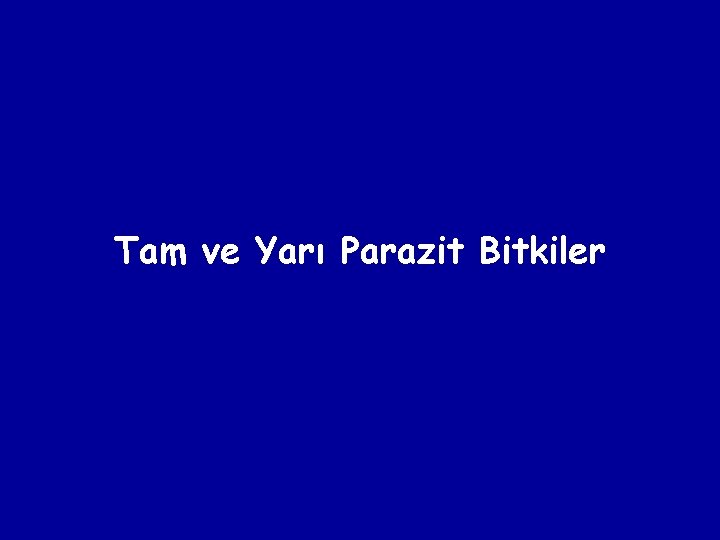 Tam ve Yarı Parazit Bitkiler 