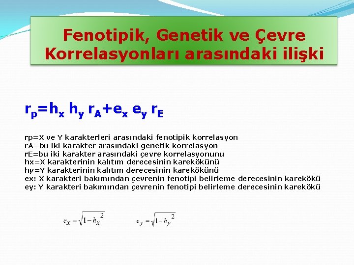 Fenotipik, Genetik ve Çevre Korrelasyonları arasındaki ilişki rp=hx hy r. A+ex ey r. E