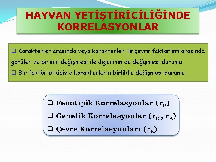 HAYVAN YETİŞTİRİCİLİĞİNDE KORRELASYONLAR q Karakterler arasında veya karakterler ile çevre faktörleri arasında görülen ve