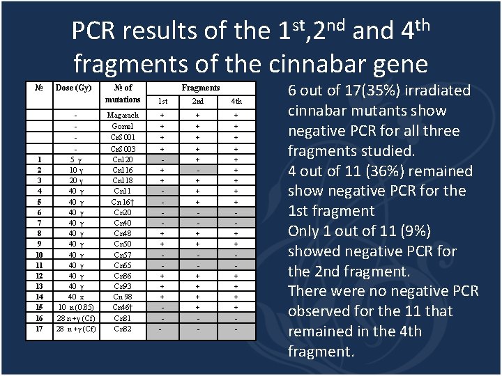 PCR results of the 1 st, 2 nd and 4 th fragments of the