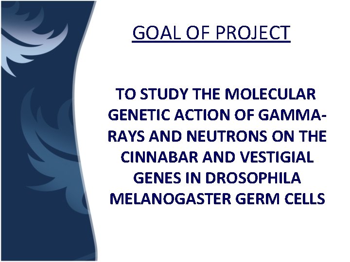 GOAL OF PROJECT TO STUDY THE MOLECULAR GENETIC ACTION OF GAMMARAYS AND NEUTRONS ON