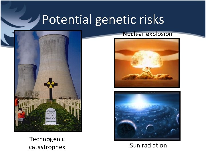 Potential genetic risks Nuclear explosion Technogenic catastrophes Sun radiation 