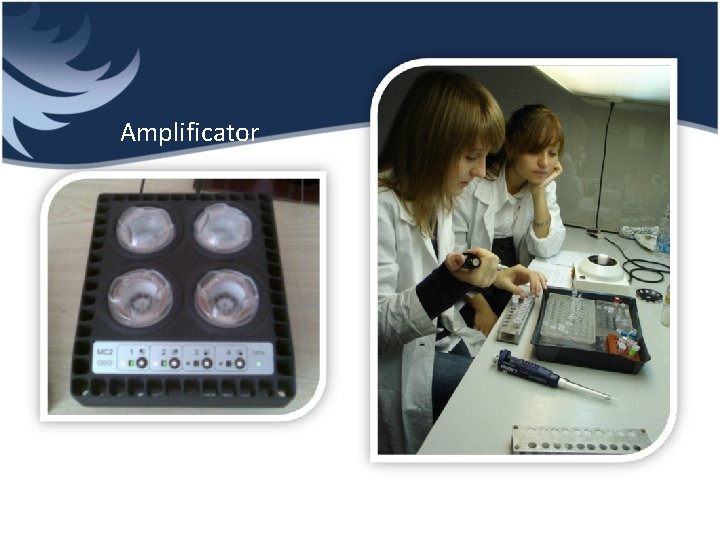 Amplificator 