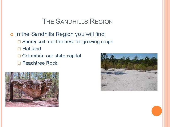 THE SANDHILLS REGION In the Sandhills Region you will find: � Sandy soil- not THE SANDHILLS REGION In the Sandhills Region you will find: � Sandy soil- not
