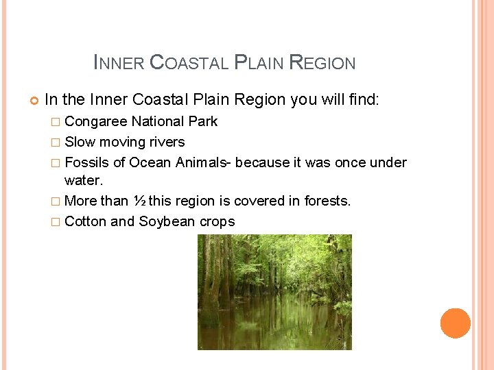 INNER COASTAL PLAIN REGION In the Inner Coastal Plain Region you will find: � INNER COASTAL PLAIN REGION In the Inner Coastal Plain Region you will find: �