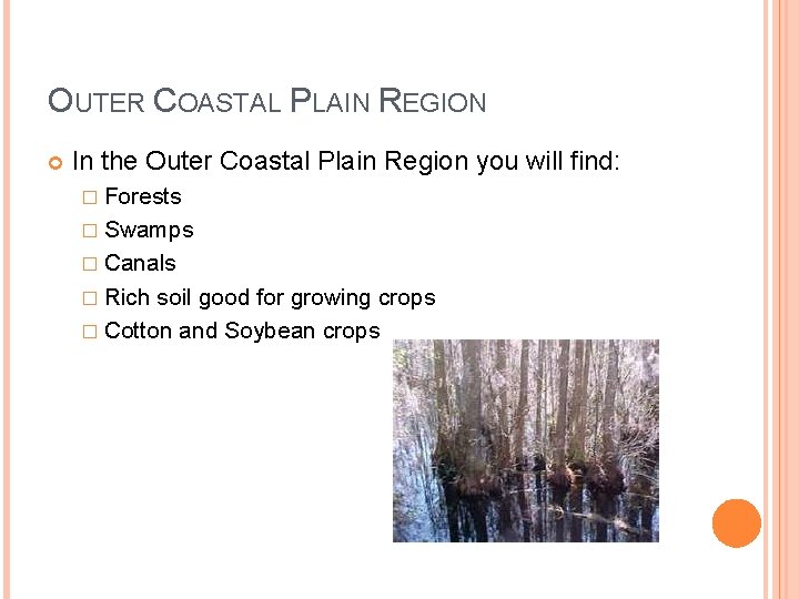 OUTER COASTAL PLAIN REGION In the Outer Coastal Plain Region you will find: � OUTER COASTAL PLAIN REGION In the Outer Coastal Plain Region you will find: �