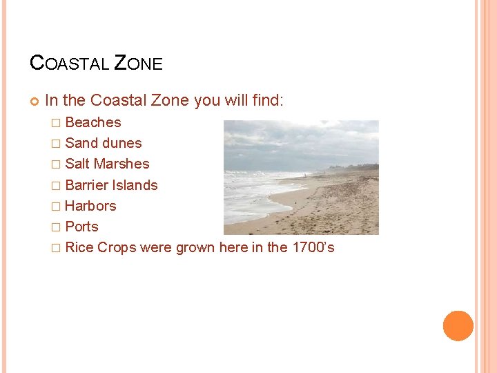 COASTAL ZONE In the Coastal Zone you will find: � Beaches � Sand dunes COASTAL ZONE In the Coastal Zone you will find: � Beaches � Sand dunes