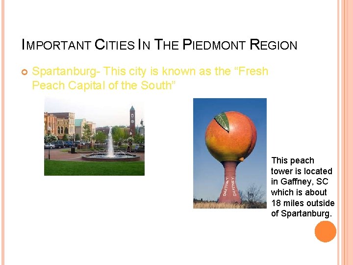 IMPORTANT CITIES IN THE PIEDMONT REGION Spartanburg- This city is known as the “Fresh IMPORTANT CITIES IN THE PIEDMONT REGION Spartanburg- This city is known as the “Fresh