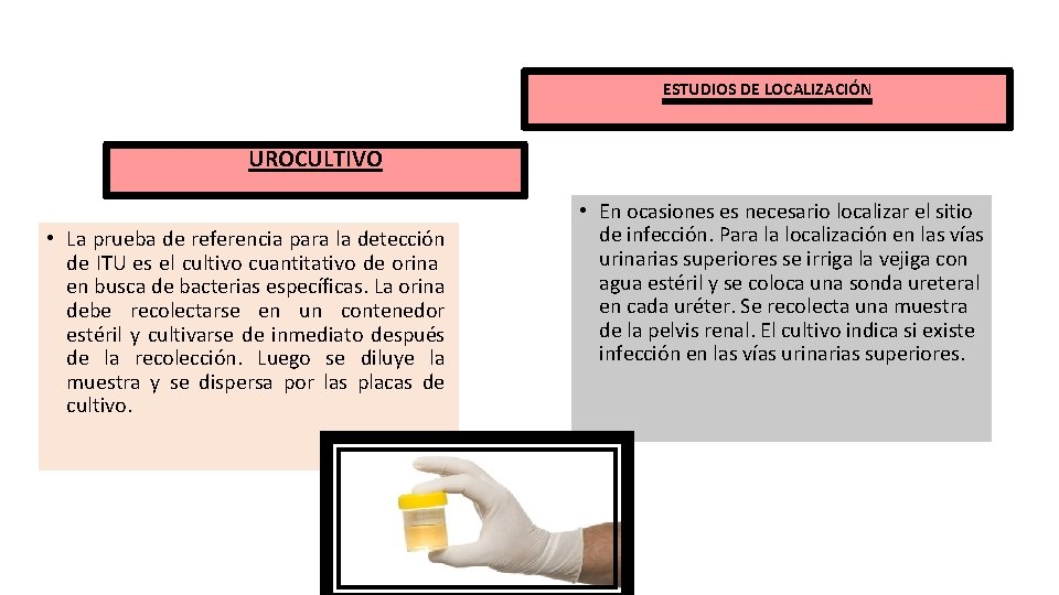 ESTUDIOS DE LOCALIZACIÓN UROCULTIVO • La prueba de referencia para la detección de ITU