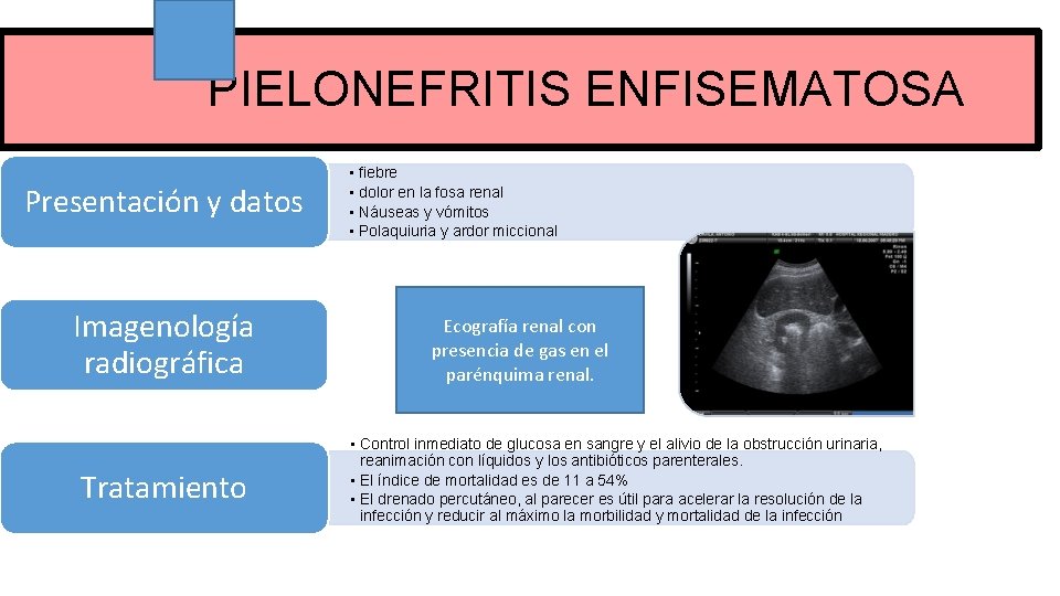 PIELONEFRITIS ENFISEMATOSA Imagenología radiográfica Tratamiento Ecografía renal con presencia de gas en el parénquima