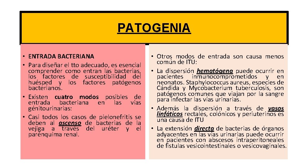  PATOGENIA • ENTRADA BACTERIANA • Para diseñar el tto adecuado, es esencial comprender