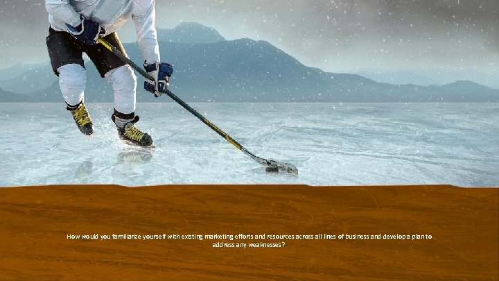 How would you familiarize yourself with existing marketing efforts and resources across all lines