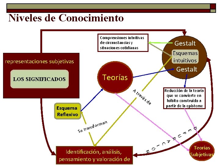 Niveles de Conocimiento Comprensiones intuitivas de circunstancias y situaciones cotidianas Gestalt Esquemas intuitivos representaciones